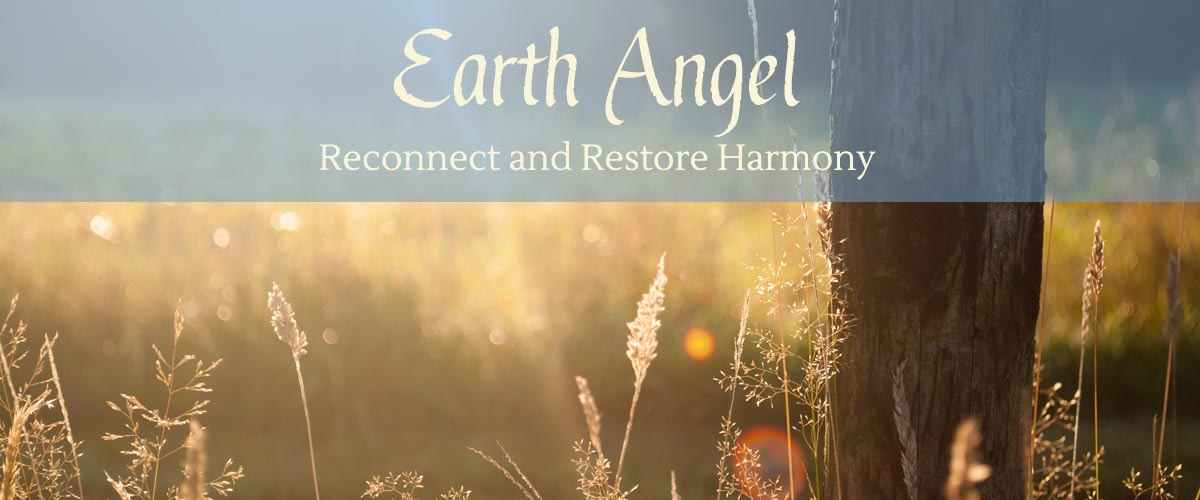 Earth Angel - About Energy Work