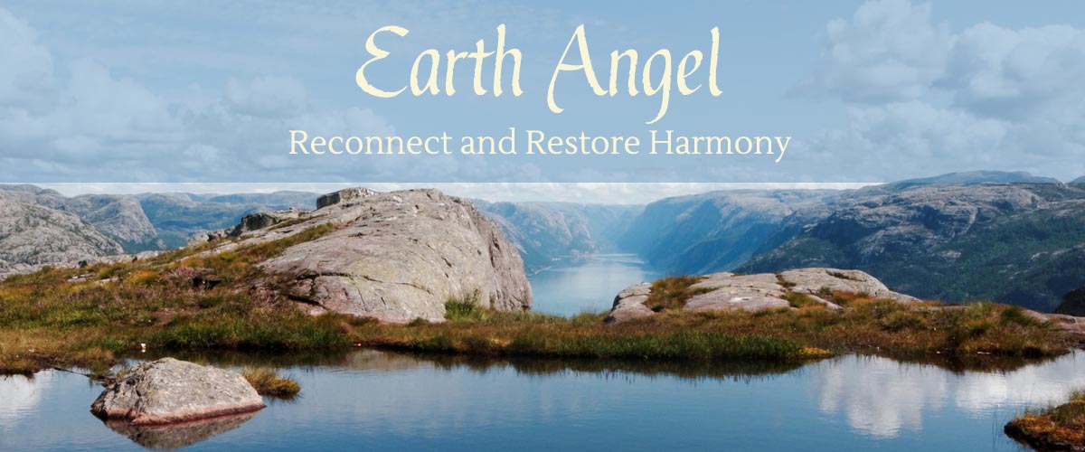 Earth Angel - wishing well